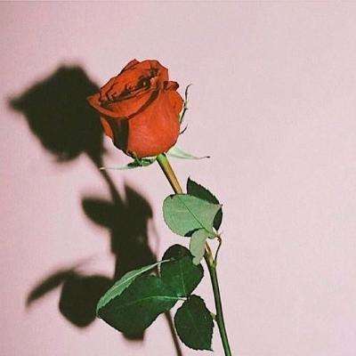 ag亚游APP登陆下载手机版