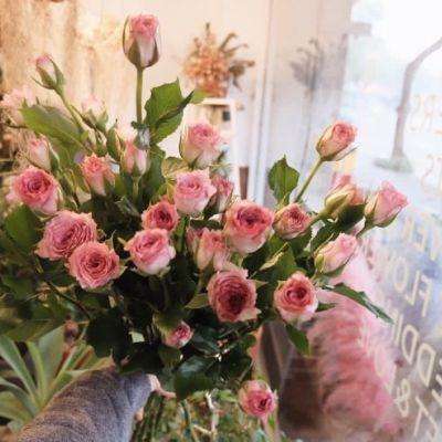 开元app下载手机版截图