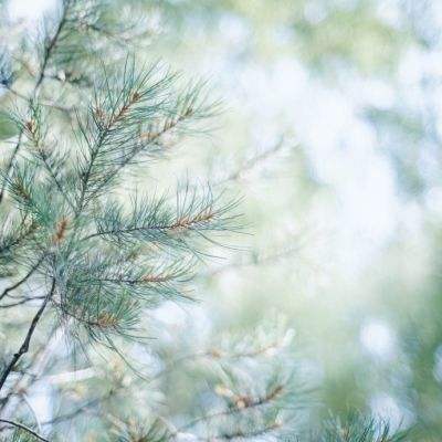 亚搏彩票app注册