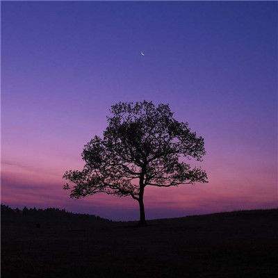 一分三快app手机app下载