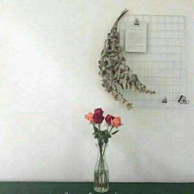 CQ9电子手机app下载