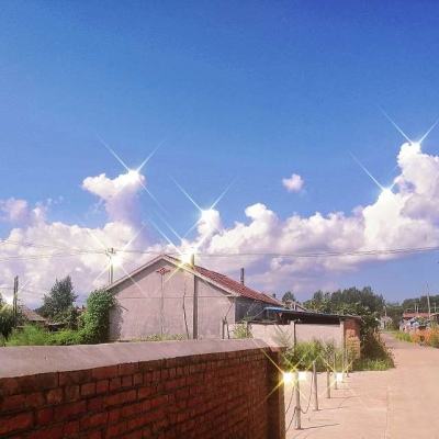 168极速赛车正规官方平台