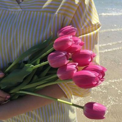 CQ9电子手机app下载