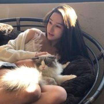 pg麻将胡了下载手机app下载截图